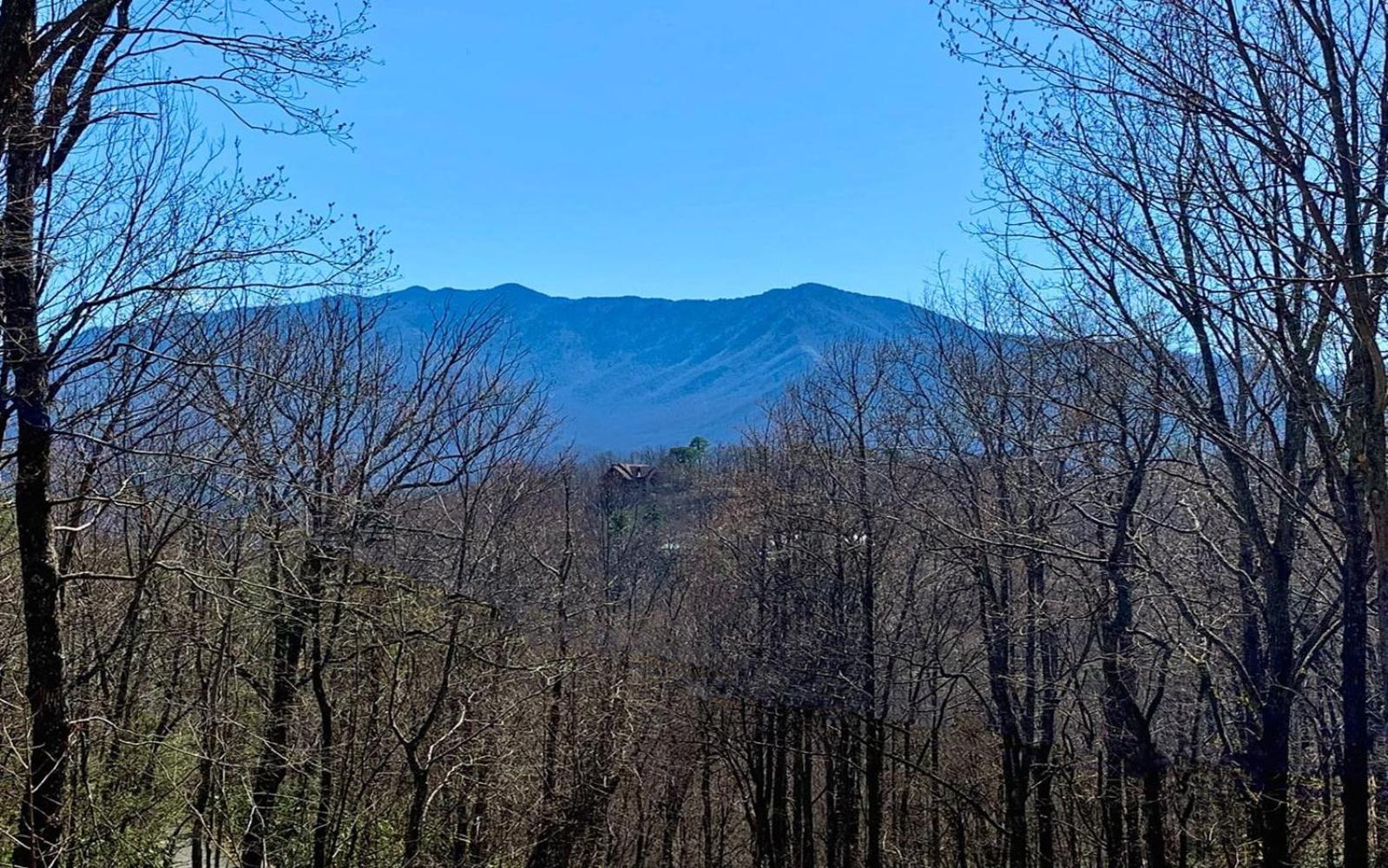 Grand Ole Chalet - Mt Viewsfireplacefirepitarcade Gatlinburg Luaran gambar